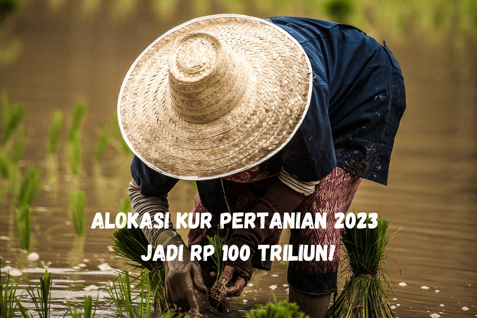 Alokasi KUR Pertanian 2023 Jadi Rp 100 Triliun!