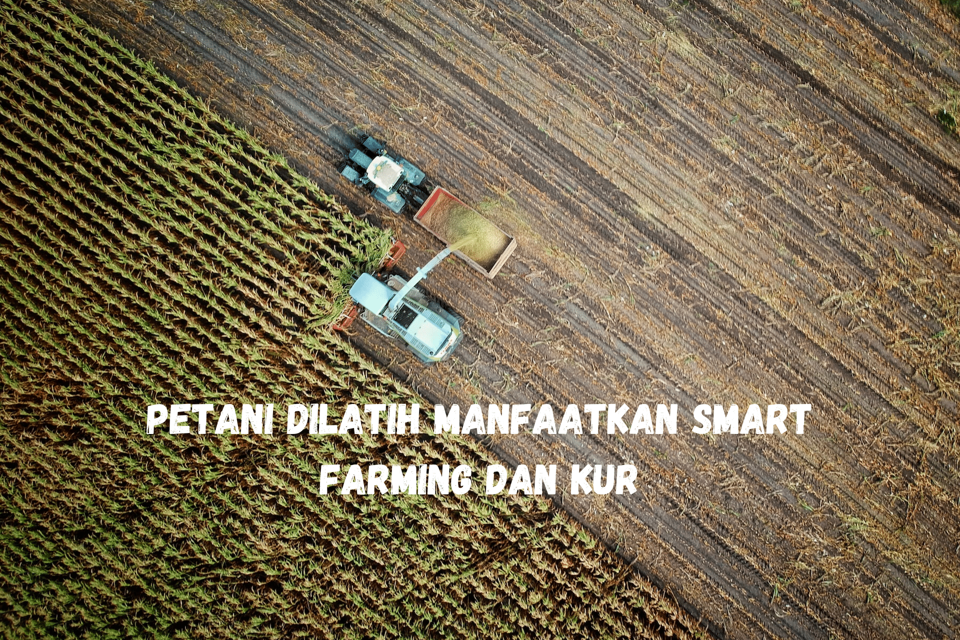 Petani Dilatih Manfaatkan Smart Farming dan KUR
